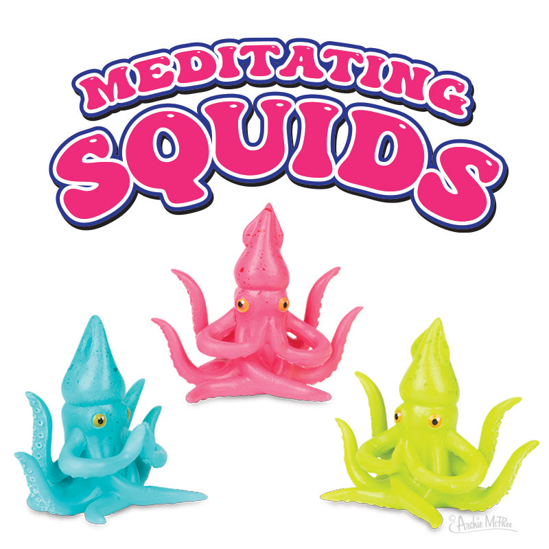 Meditating Squid - Bulk Box