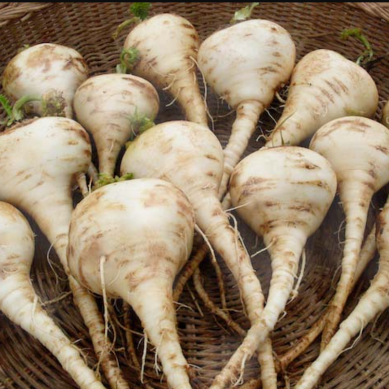 A pile of turnips