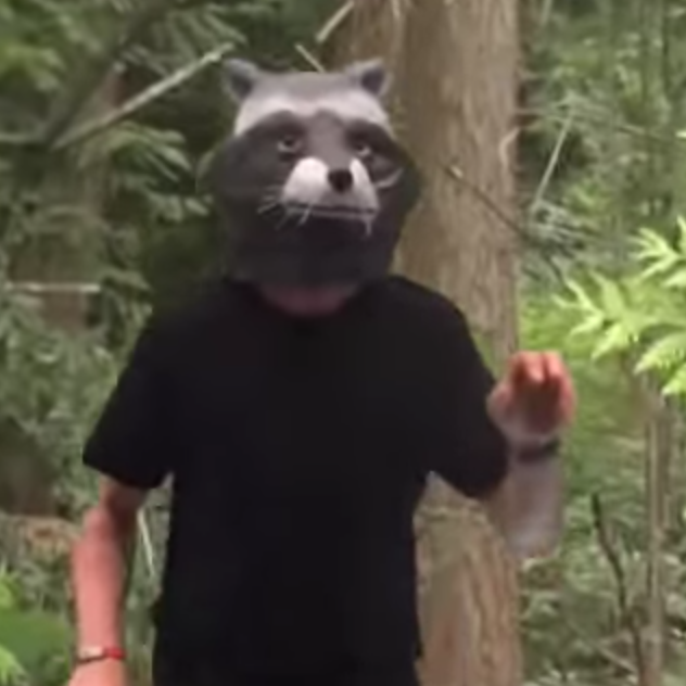 Raccoon Mask Alastair