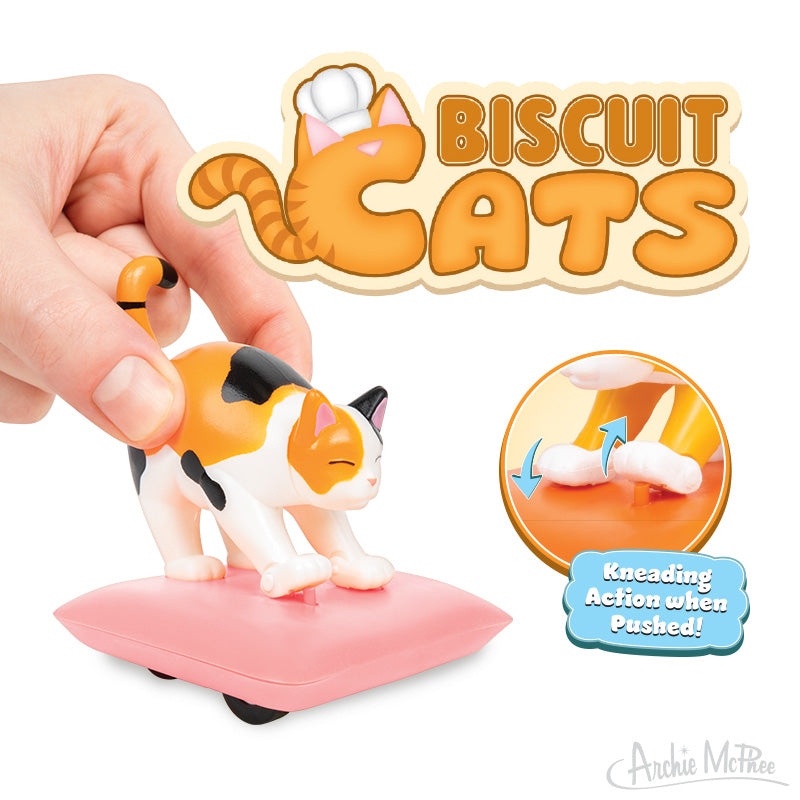 Biscuit Cats Mystery Cat