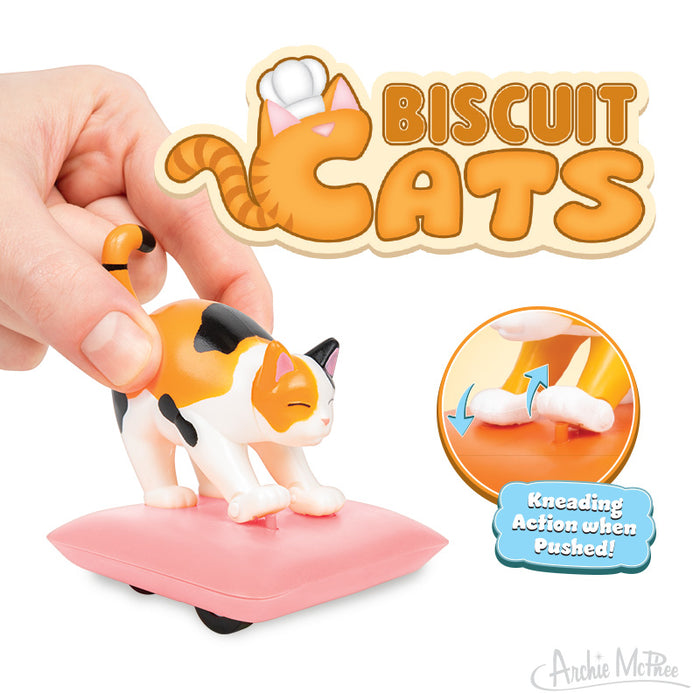 Biscuit Cats Mystery Cat