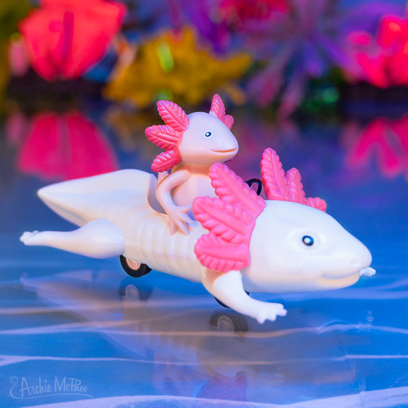  pink axolotl driving around in a pullback white axolotl car in an underwater background