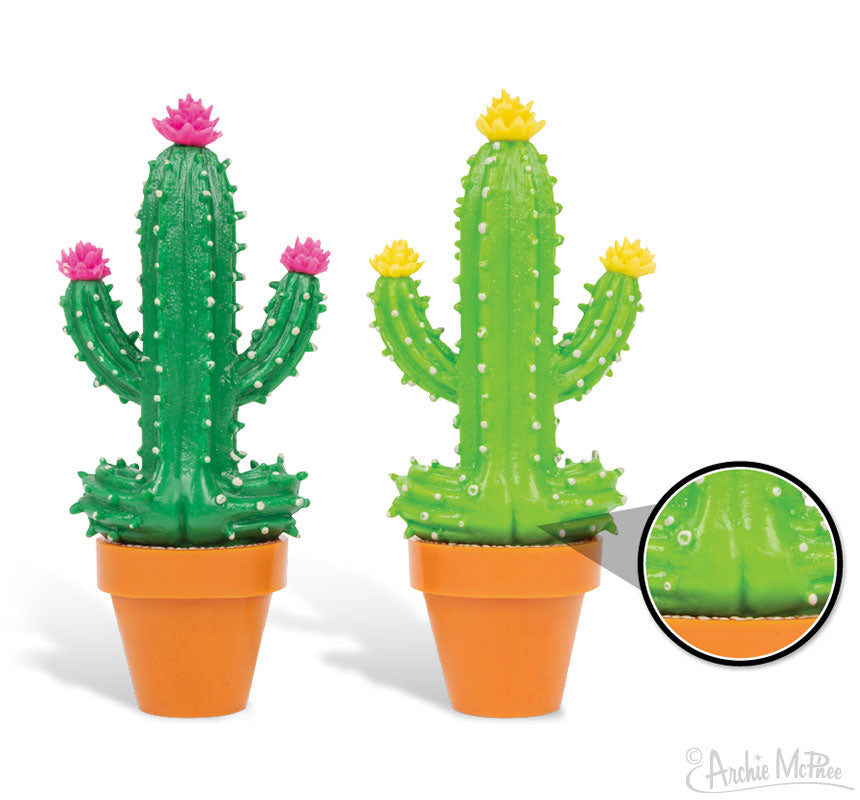 Two Meditating Cacti in orange pots display vibrant flowers, one embellished with a yellow bloom, creating a serene cacti arrangement. A magnified detail within a circular frame enhances their detailed backsides.