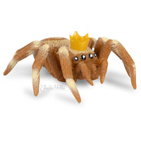 spider with a crown