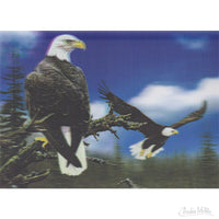 Pair of Eagles Lenticular Card 