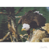 Eagle Lenticular Card 