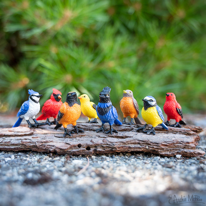 Collection of Mini Garden Birds