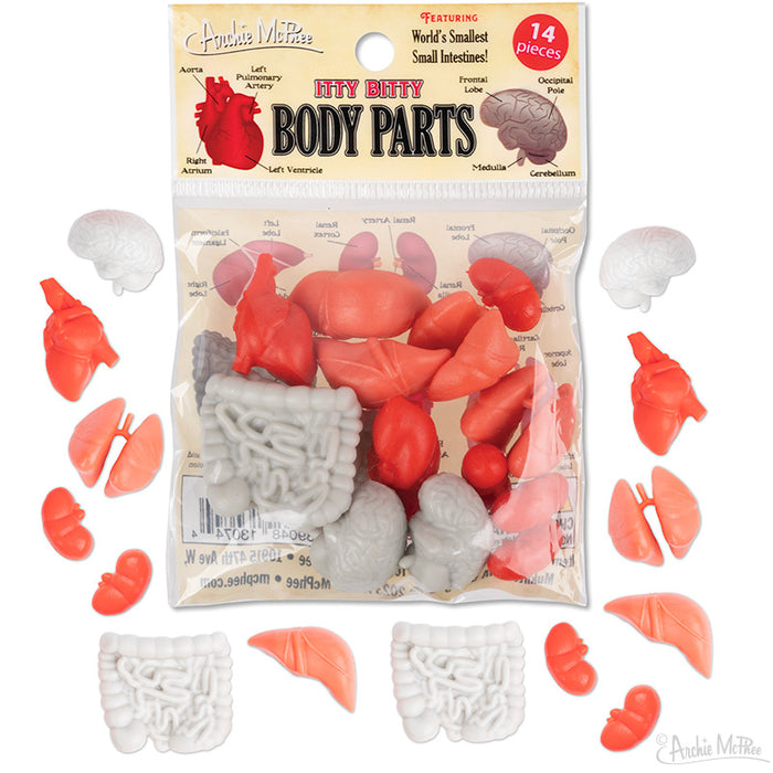 Miniature anatomical models of human organs in a clear bag, including red hearts, gray brains, and pink intestines. Product packaging shows "Itty Bitty Body Parts" with 14 pieces for educational and novelty purposes.