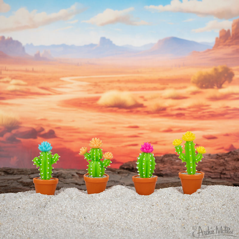 Itty Bitty Cactus on desert background