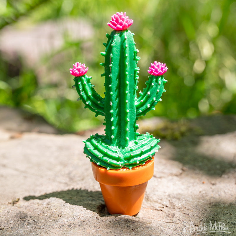 A Meditating Cactus with pink flowers in a small pot rests outdoors on a stone surface, exuding tranquility.