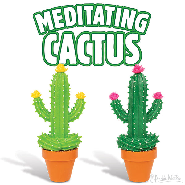 Two serene cacti adorned with flower crowns in orange pots are positioned underneath the title Meditating Cactus, capturing a meditative essence.