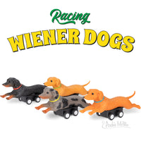 Racing Wiener Dogs - Set of 4 colorful dachshund racers on wheels ready for a living room dash.
