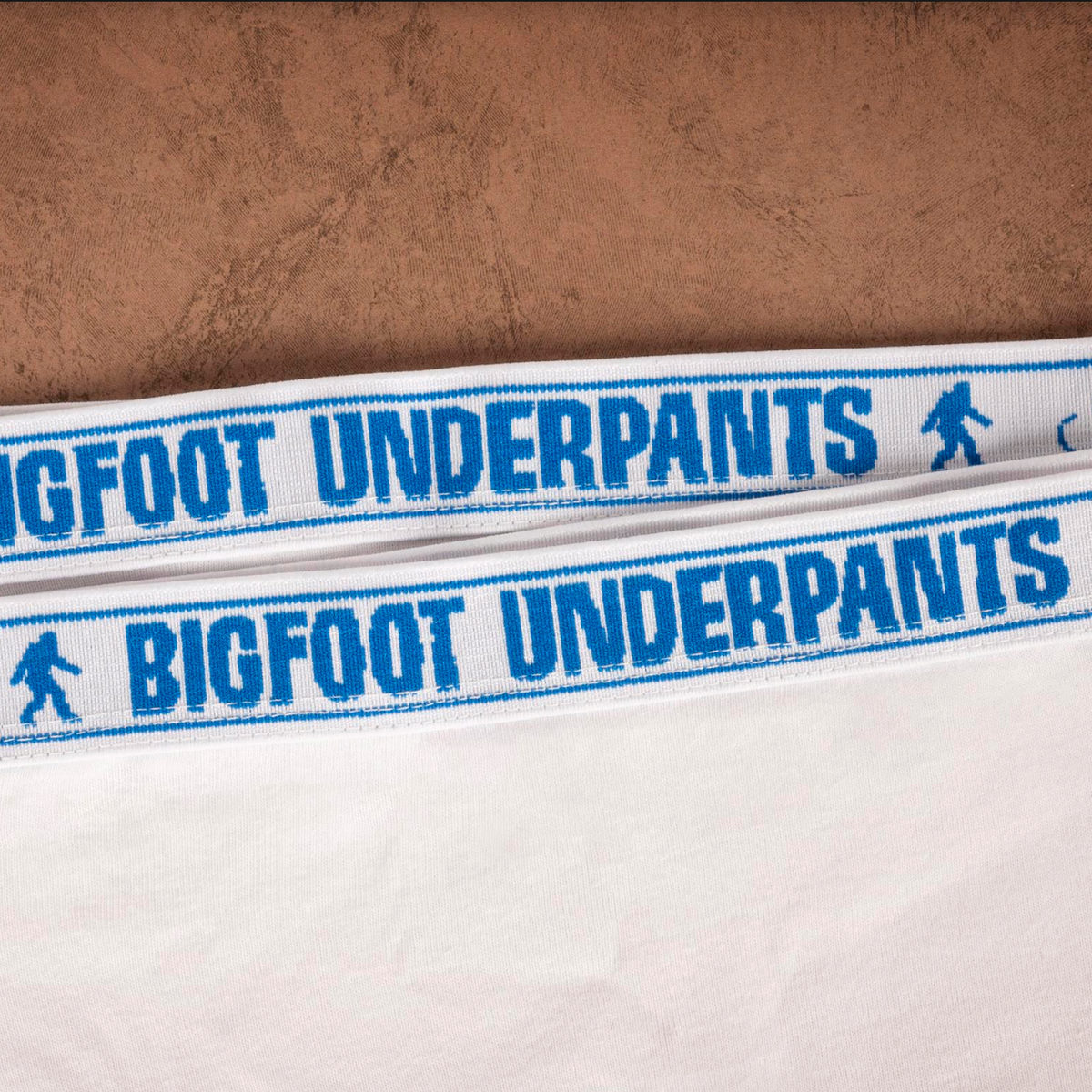 The waistband of underpants. They say, "Bigfoot Underpants" and there is a tiny Bigfoot next to the words. The pattern repeats. 