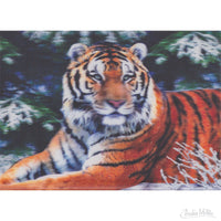 Tiger Lenticular Card 