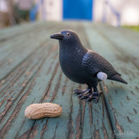 Crazy Crow Wind-up toy on a picnic table with a peanut