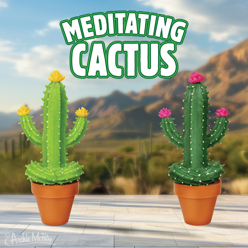 Two Meditating Cactus plants, each in its own pot and decorated with vibrant flowers, are peacefully posed against a sweeping desert backdrop.