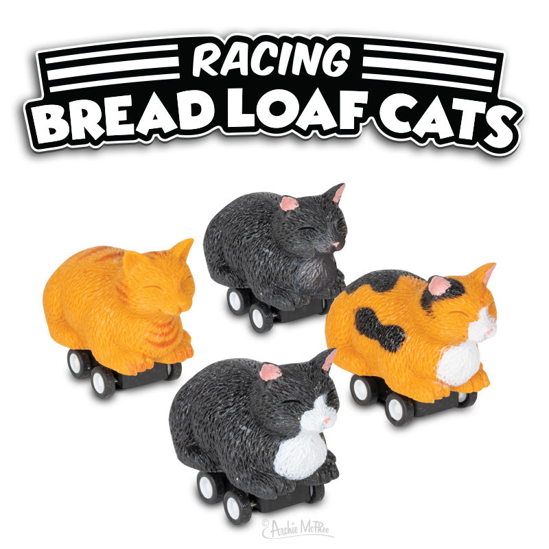 Racing Bread Loaf Cats Bulk Box – Archie McPhee