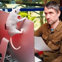 A gif of a man reacting with fear to an office possum on his monitor