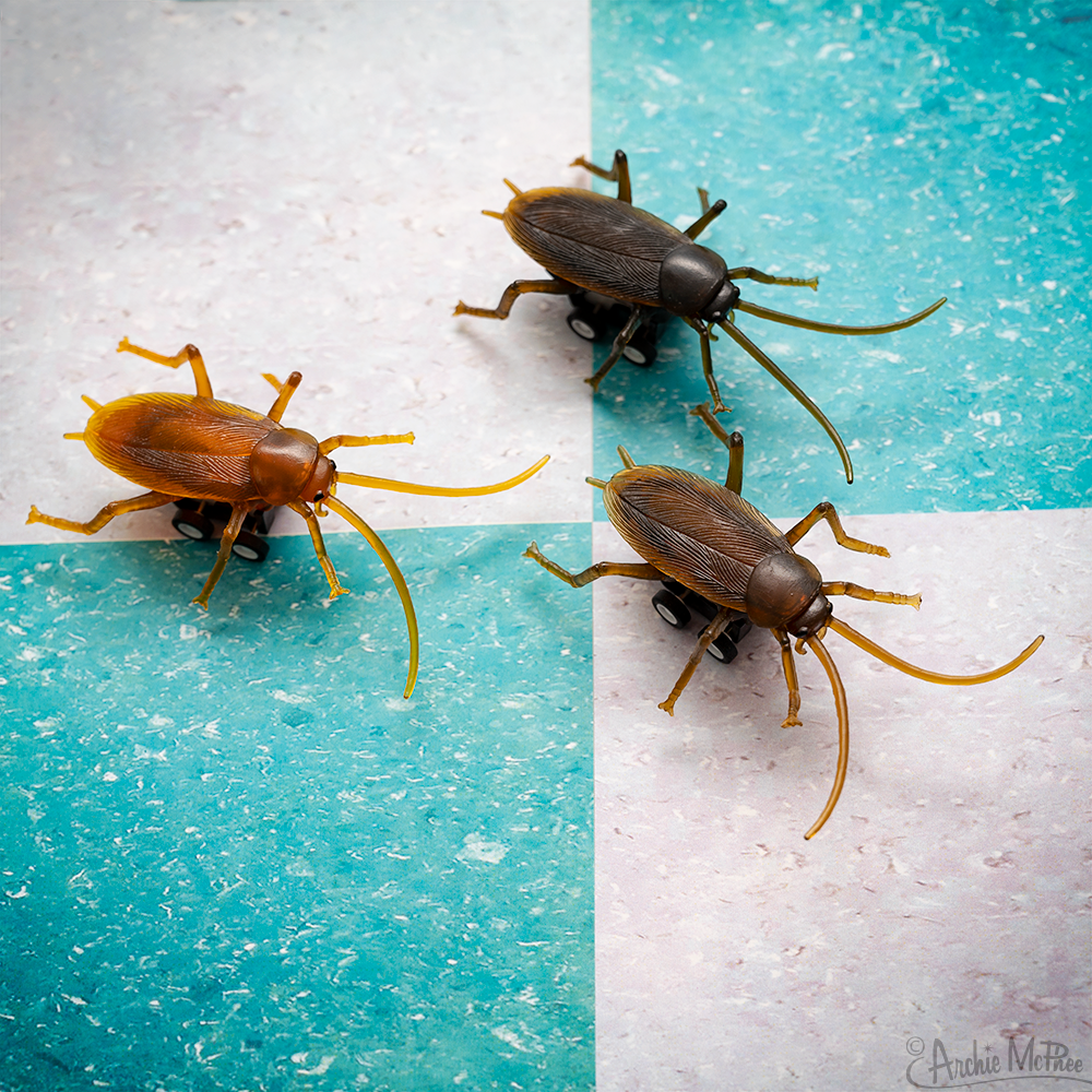 Racing Roaches - Set of 3 Racing Roaches - Set of 3