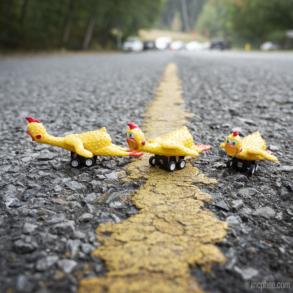Racing Rubber Chickens - Set of 3