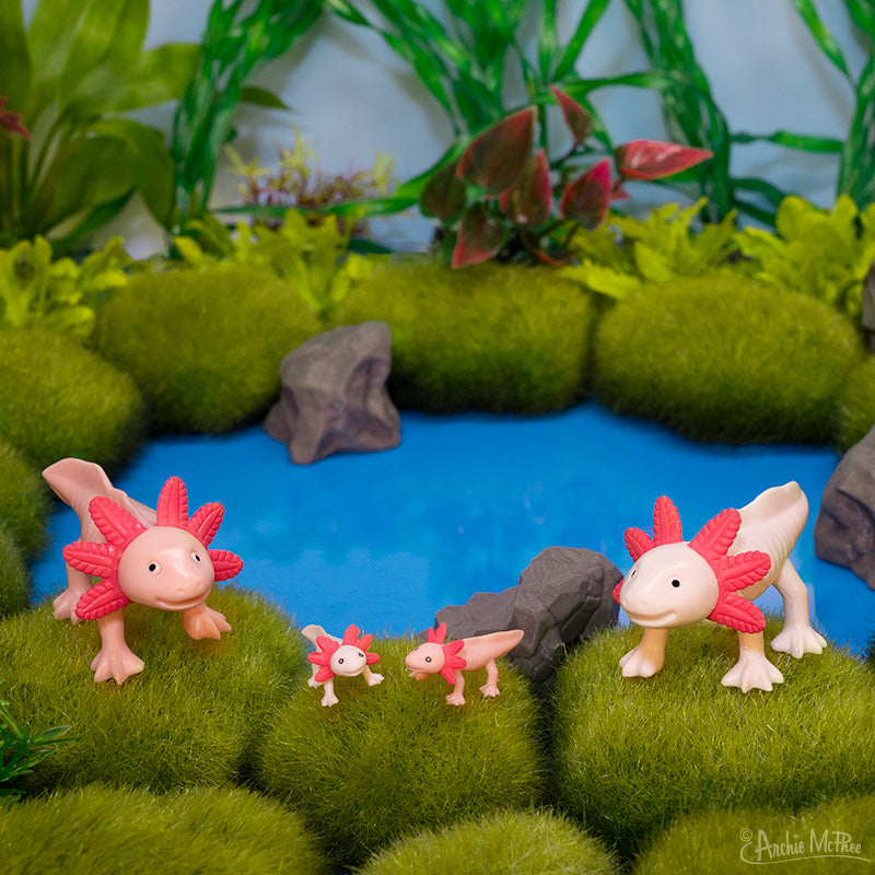 Box of Axolotls - Family of 4 – Archie McPhee