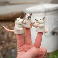 Finger Possums - Bulk Box