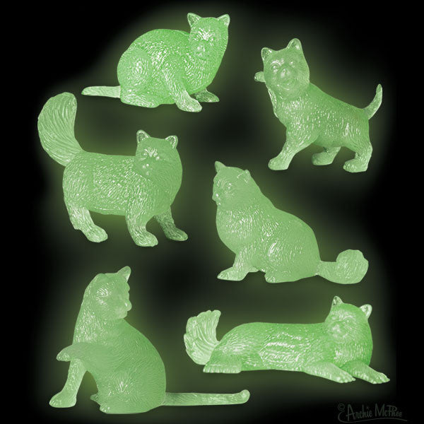 Glow in store the dark cats