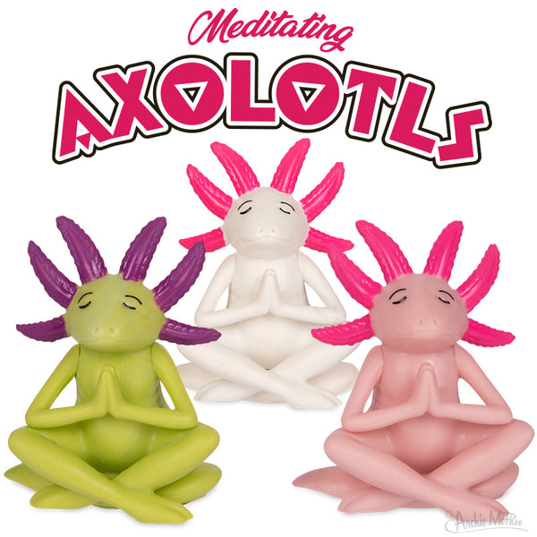 Meditating Axolotls
