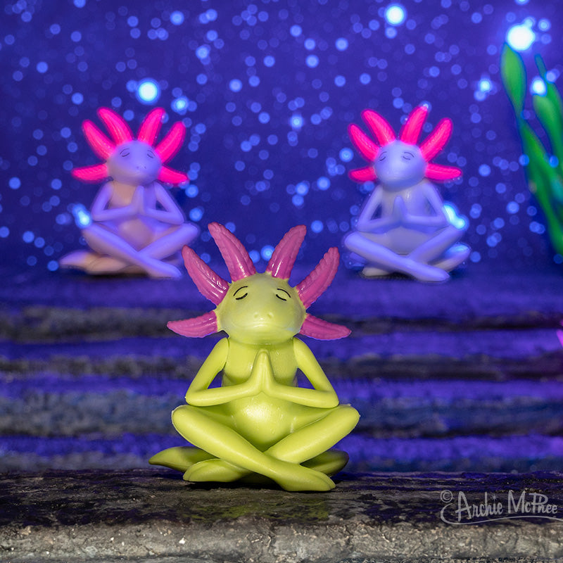 Meditating Axolotls Bulk Box