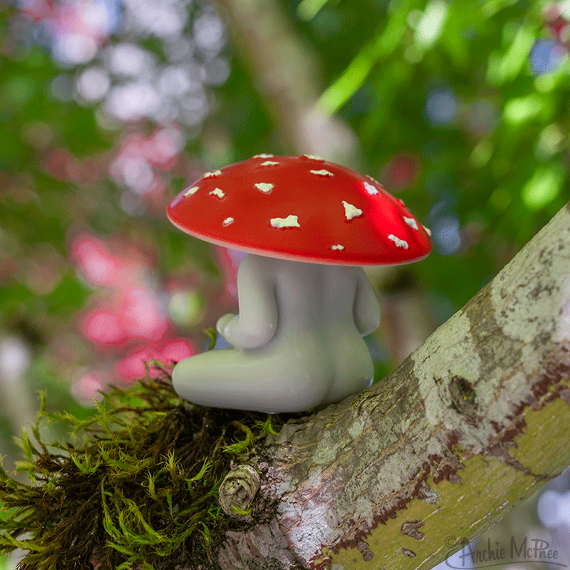 200 Pcs Mini Mushrooms and Frogs Miniature Figurines Cute Tiny