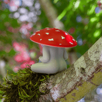 Meditating Mushrooms - Bulk Box