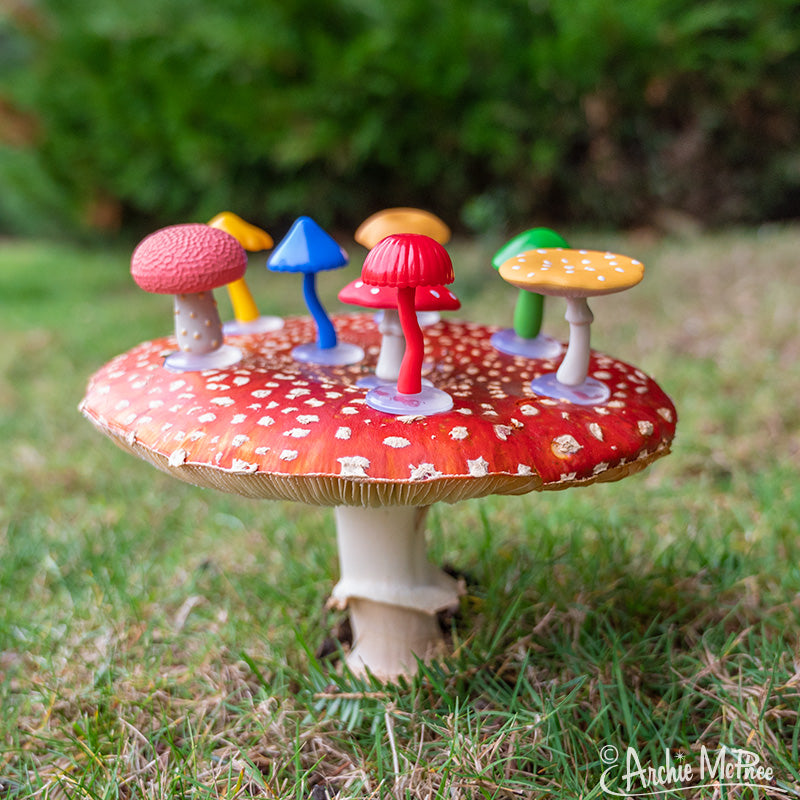 Collection of Mini Mushrooms – Archie McPhee