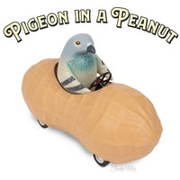 Pigeon in a Peanut
