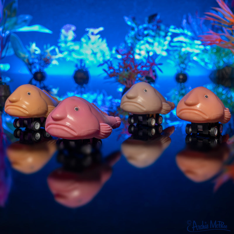 Racing Blobfish - Set of 4
