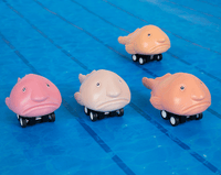 Racing Blobfish - Set of 4