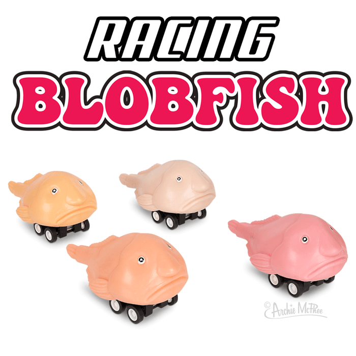 Set of four colorful pull-back racing blobfish toys with comical, miserable expressions, featuring orange, pink, and beige fish on wheels beneath bold "RACING BLOBFISH" text logo