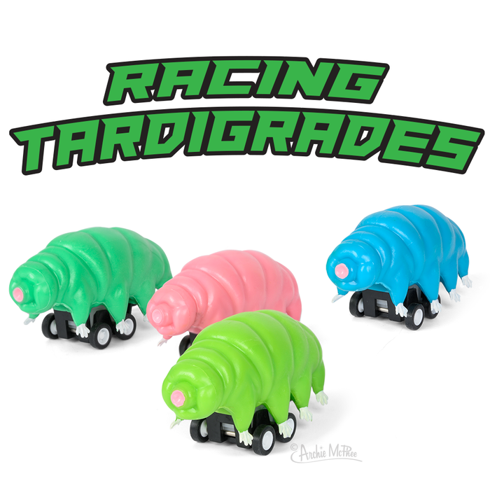 Set of 4 colorful pull-back Racing Tardigrades toys in green, pink, blue, and lime. Text "RACING TARDIGRADES" in bold green letters above the toys. Small, adorable microscopic creatures reimagined as fun, miniature racing toys.