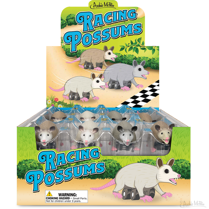 Display box of Racing Possums toy set featuring cartoon possums on wheels, with colorful packaging showing racing possums crossing a finish line and individual possum toys visible in clear packaging below