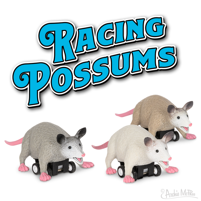 Set of 3 Racing Possums toy figurines on wheels, with blue text logo. Realistic possum models with pink paws and tails, mounted on black plastic bases with wheels. Humorous and quirky product image for novelty pull-back toys.