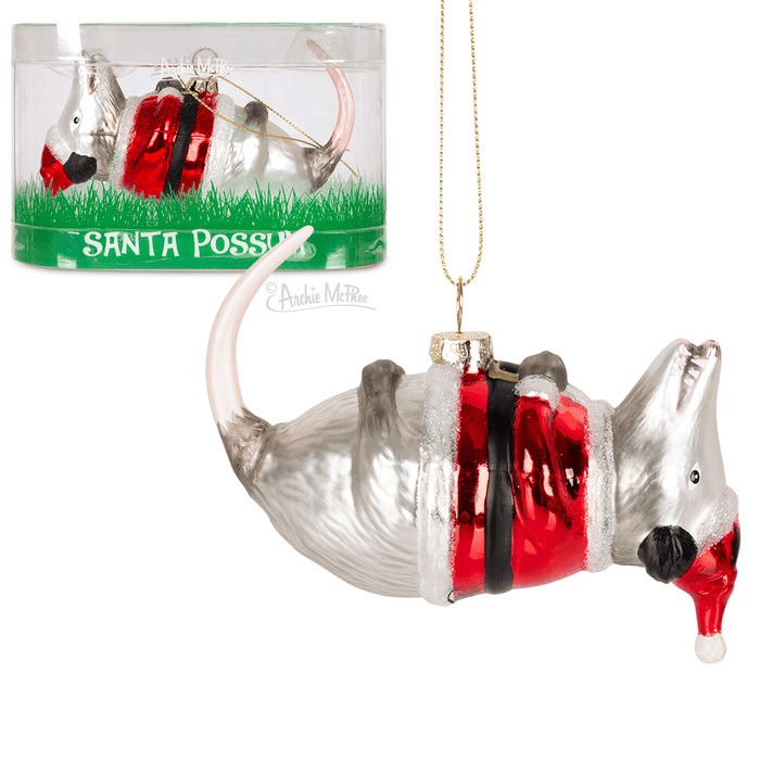 Glass ornament of possum lying on its back wearing Santa coat and hat, with red nose and tail. Packaged in clear box with green grass base and "Santa Possum" label.