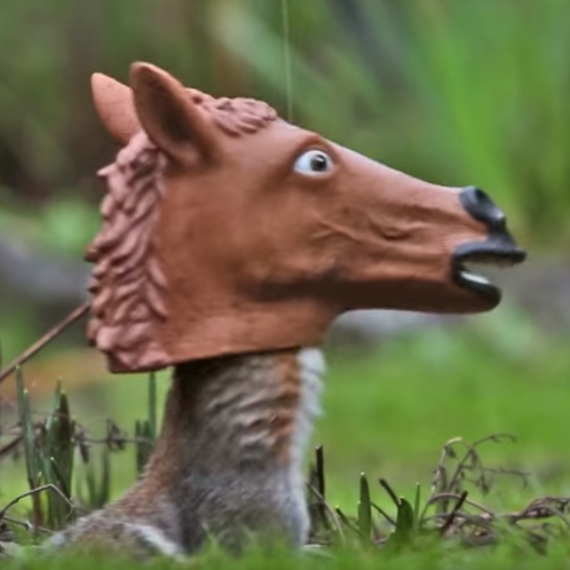 Archie McPhee Horse Head Squirrel Feeder - Thumbnail 4