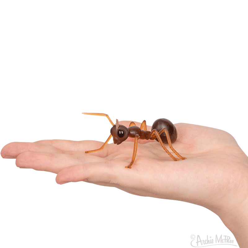 Ants! – Archie McPhee