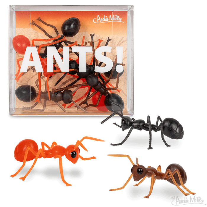 Giant plastic ant toys in black, orange, and brown displayed in and outside a clear box with 'ANTS!' text, perfect for pranks and decorative fun