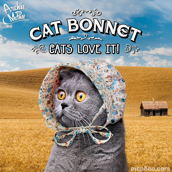 Cute Stupid Cats - Cat Lover Funny - Cat - Sticker