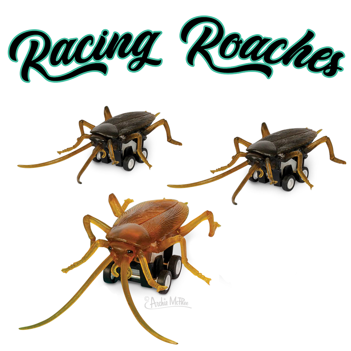 Set of 3 Racing Roaches toy insects with pull-back mechanism, realistic design in brown and black colors, featuring wheels for fast movement. Product title "Racing Roaches" displayed in stylized green text above the toy images.