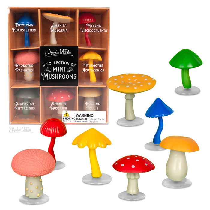 Collection of colorful mini mushroom figurines in a display box, featuring eight different species with scientific names. Includes vibrant red, blue, yellow, and green mushrooms of various shapes and sizes, arranged both in and outside the packaging.