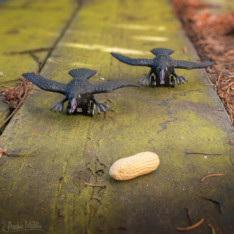 Racing Crows - Set of 3 – Archie McPhee
